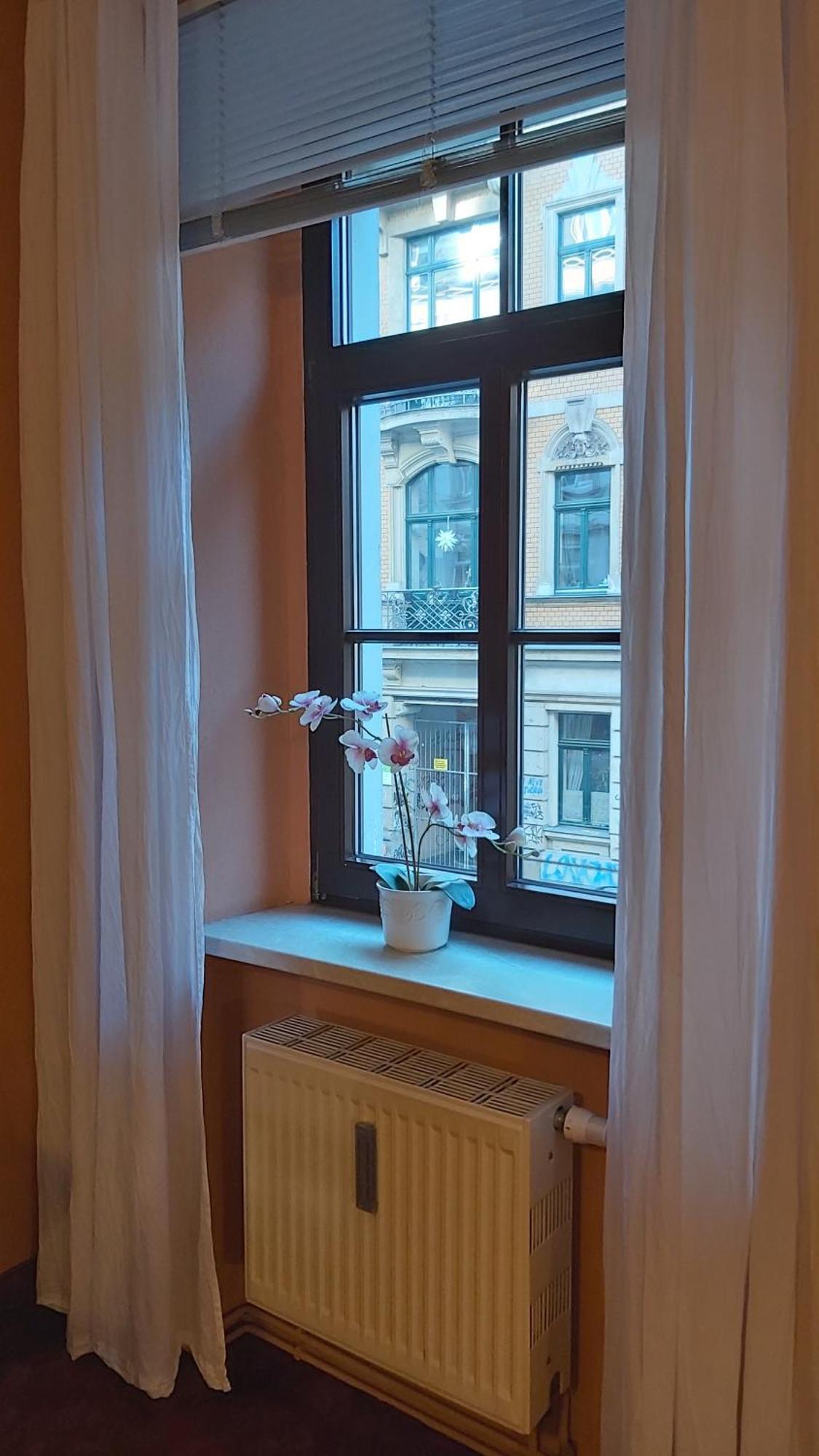 Apartament City-ferienwohnungen-dresden - Zentral Gelegen Im Haus Louisenstrasse 11 - Dresden-neustadt *